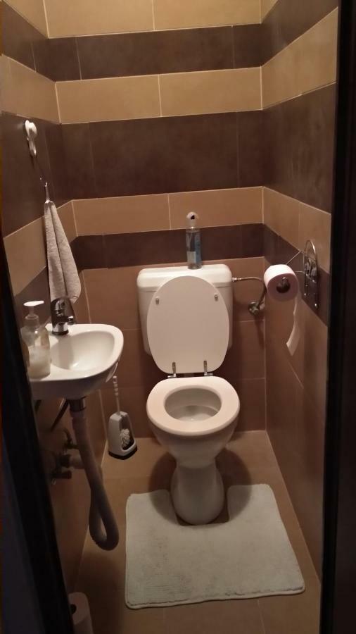 Family Holiday Apartman Nyíregyháza エクステリア 写真